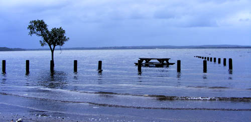 Noela Place lakeside reserve Budgewoi. This picnic table spends a lot of time under water