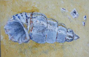 The Shell 90cm long, acrylic on canvas unfinished