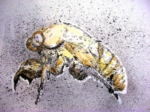 cicada-shell-ink