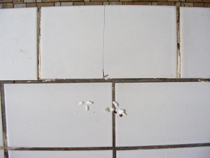 Disintigrating white matter and the cracked tile that alerted me to a proble
